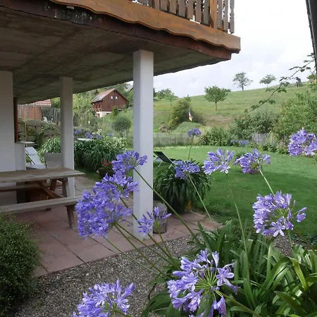 Au Coin Du Feu à 25mn De Colmar Au Calme Avec Jardin Clos Labaroche