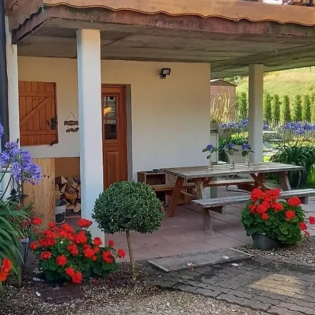 Au Coin Du Feu A 25mn De Colmar Au Calme Avec Jardin Clos Διαμέρισμα Labaroche