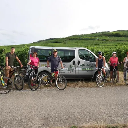 Au Coin Du Feu à 25mn De Colmar Au Calme Avec Jardin Clos