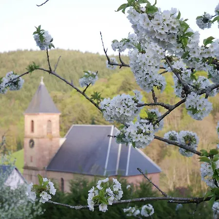 Au Coin Du Feu à 25mn De Colmar Au Calme Avec Jardin Clos Apartamento *
