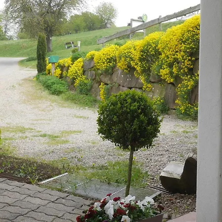 Au Coin Du Feu à 25mn De Colmar Au Calme Avec Jardin Clos Apartamento Labaroche
