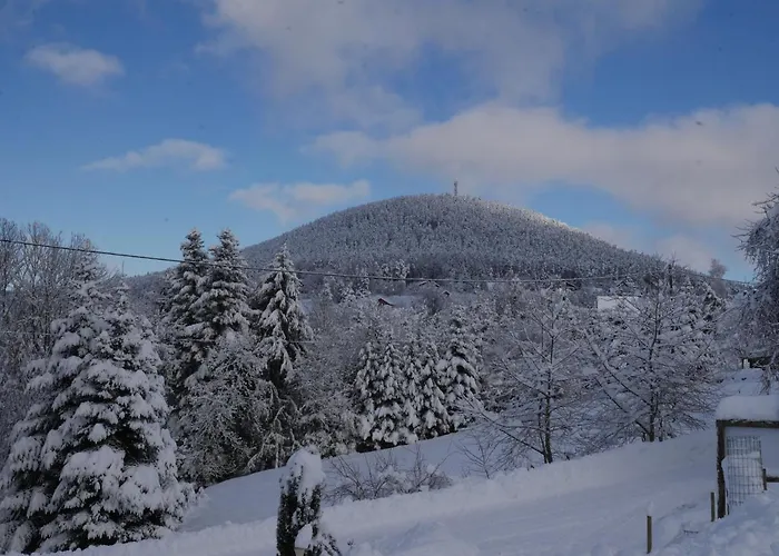 Apartment Au Coin Du Feu A 25mn De Colmar Au Calme Avec Jardin Clos *