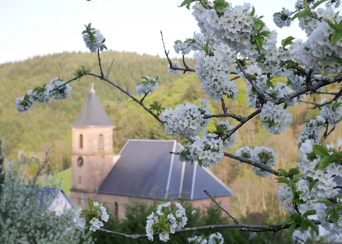 Au Coin Du Feu A 25mn De Colmar Au Calme Avec Jardin Clos Apartment *
